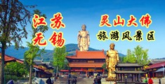 欧美爱啪啪江苏无锡灵山大佛旅游风景区